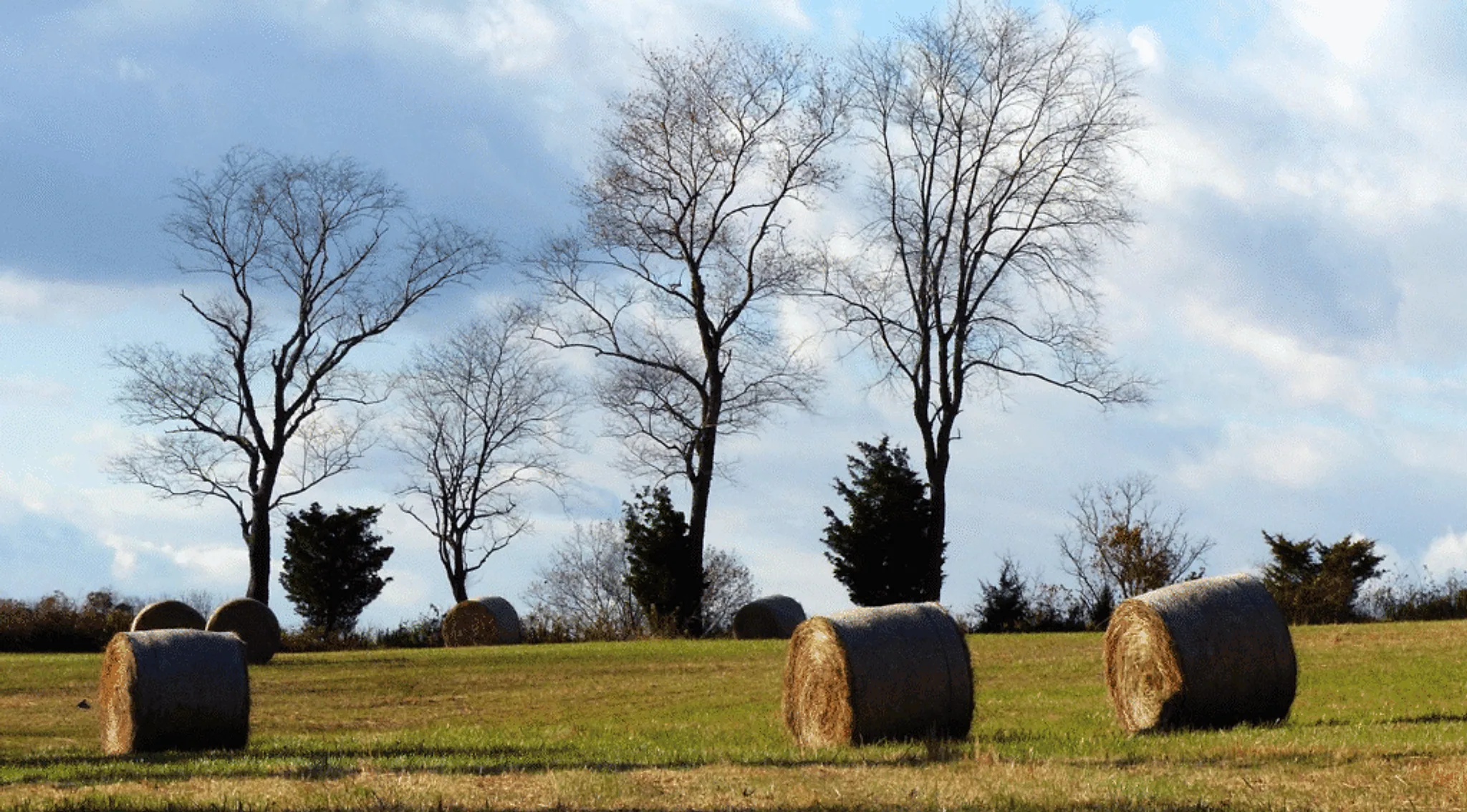 Branchburg
